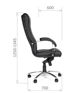 Офисное кресло CHAIRMAN 480 Экокожа премиум черная в Артемовском - предосмотр 2